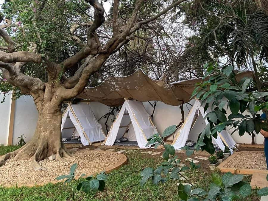 White tents pitched under a large tree in a garden